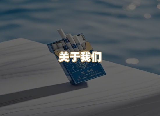 关于蓝帝网